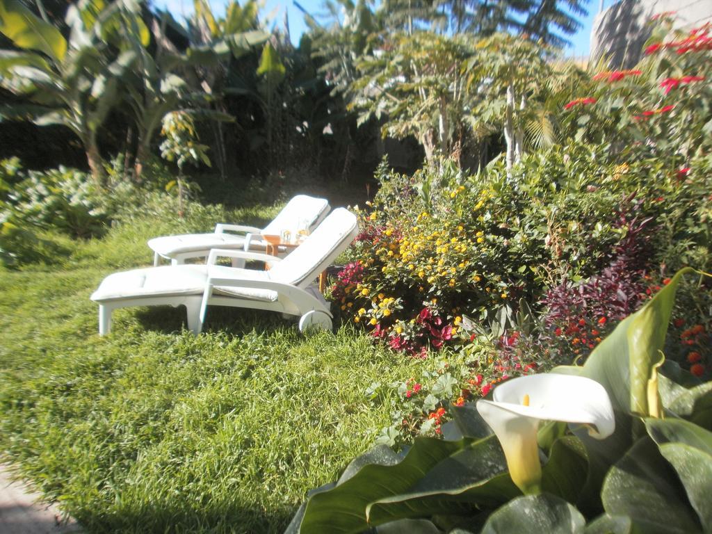 Finca Las Palmeras Icod De Los Vinos Room photo
